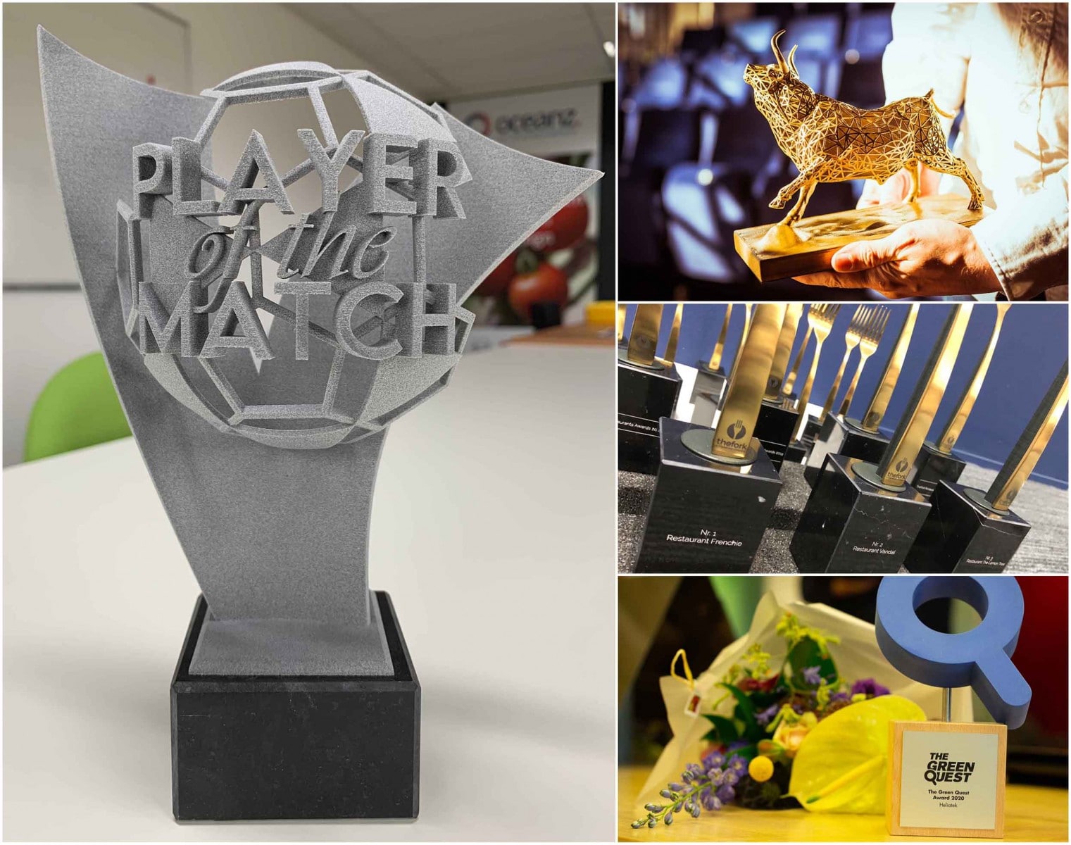 Awards 3D Printen Oceanz 3D Printing